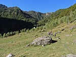 vald16 005m